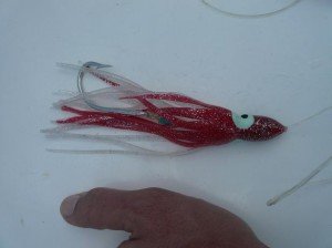 Leurres "Octopus" - pêche au gros à l'île Maurice
