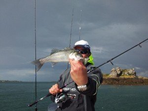 Pêche au bar au leurre souple en bretagne